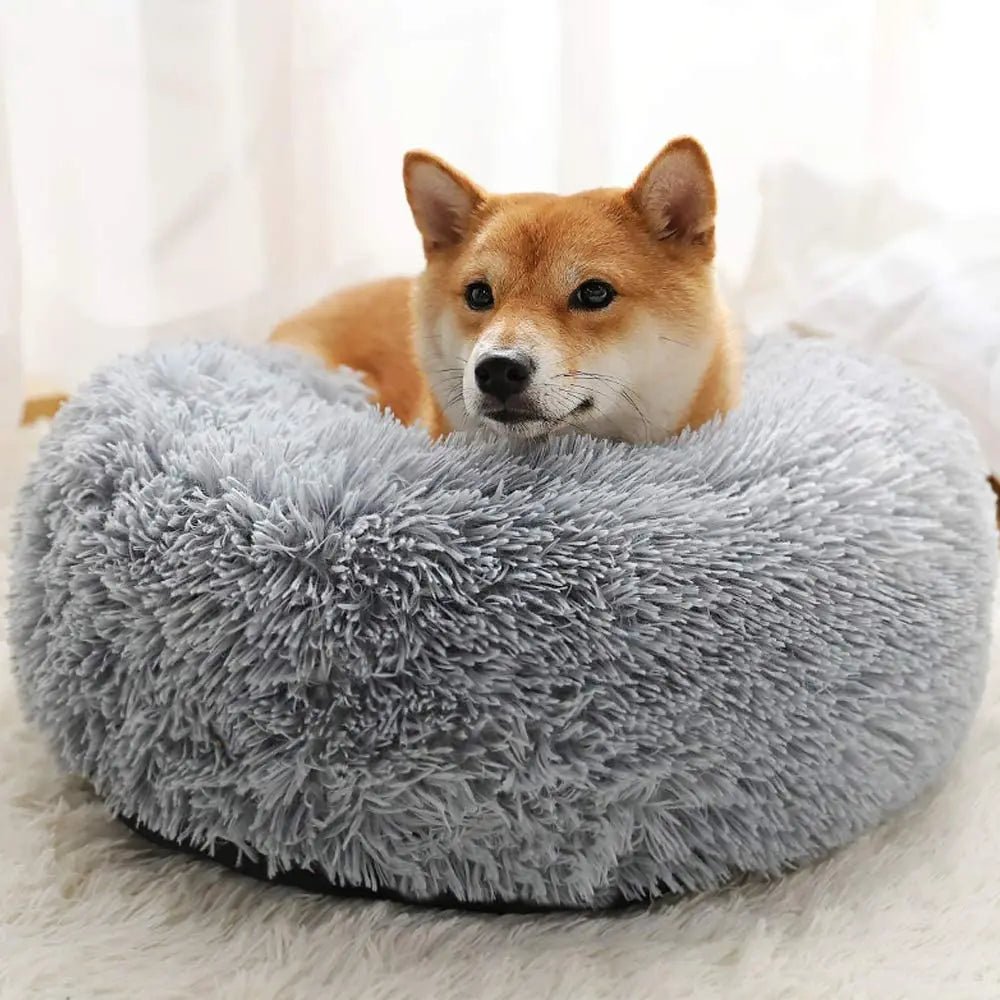 Discover premium pets at home dog beds, ensuring unmatched comfort for your furry friend.