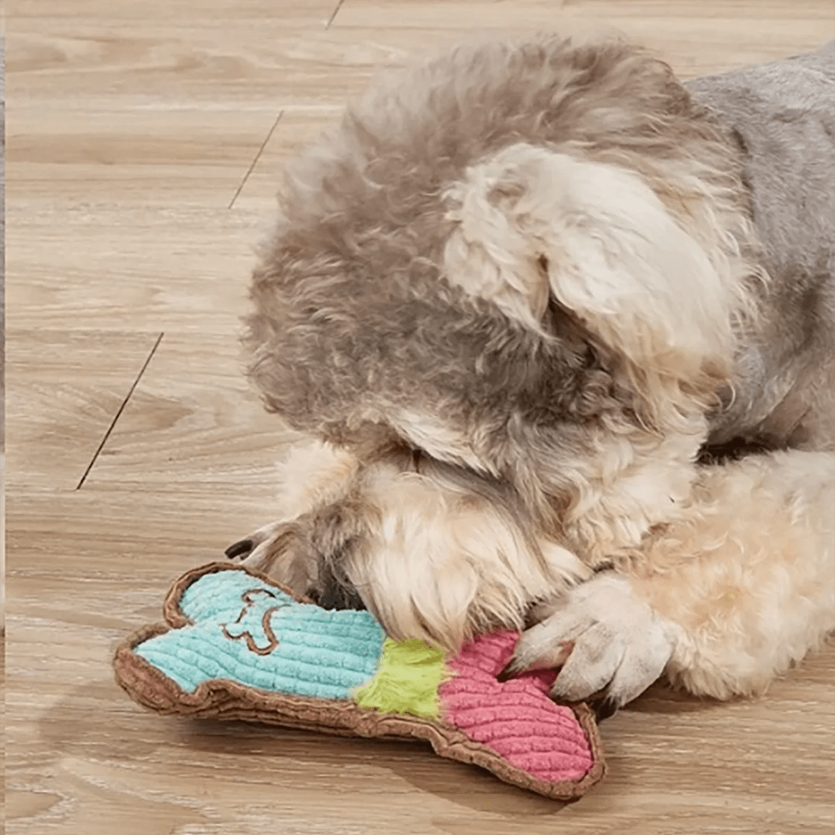 indestructible dog toys , Squeaky Toys, Plush Dogs Chew