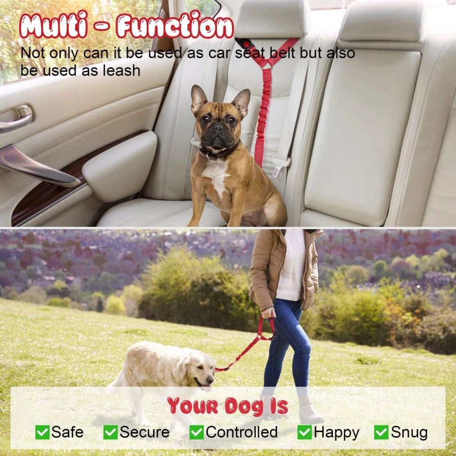 dog seat belt for car