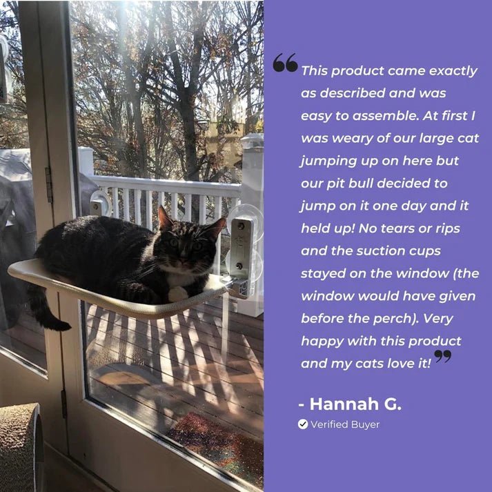 Cat Window Hammock Grey - KittyCloud™