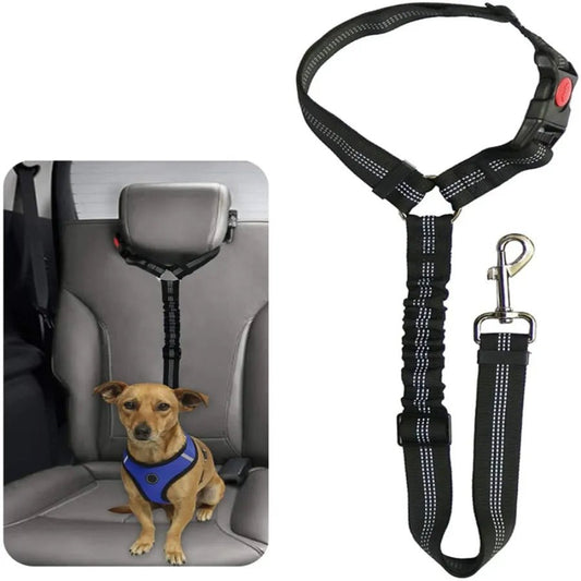 dog seat belt for car
